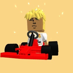 Weird racing car driver