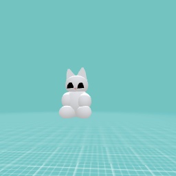 Kitten