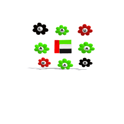 UAE Flag ( Flower)
