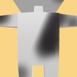 new costume