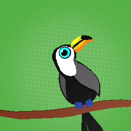 cute toucan