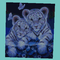 Two  Tigers