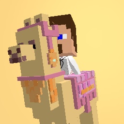 Steve and llama