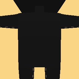 new costume
