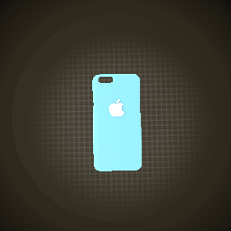 Case of iphone