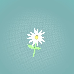 A flower