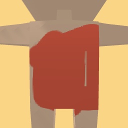 new costume