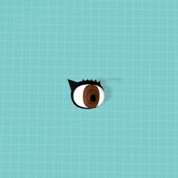 An eye