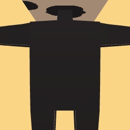 new costume