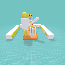 Cricket game