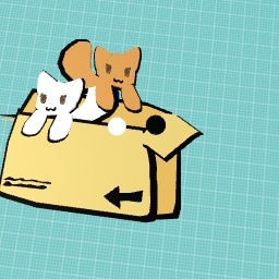Cats in box <33