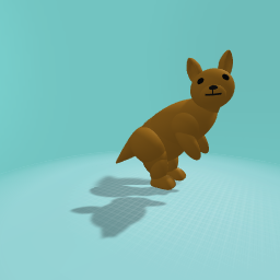 kangaroo