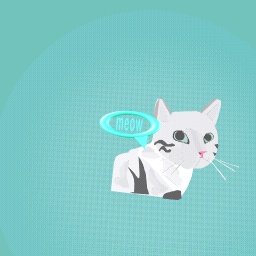 cute little kitty