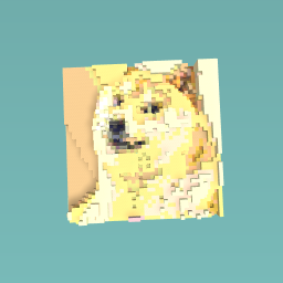 doge