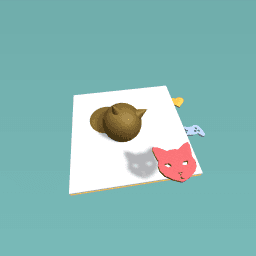 cat,s are amazing