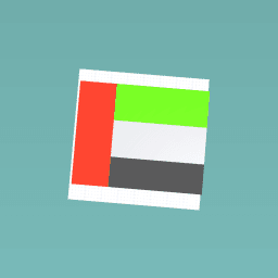 UAE flag