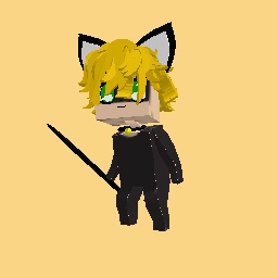 Cat noir