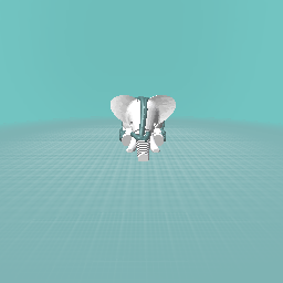 Avatar eliphant.