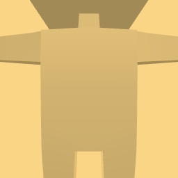 new costume