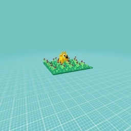 Dog running in the park