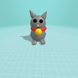 Cranky cat
