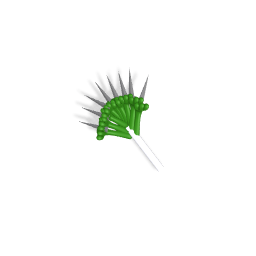 Fork Foot