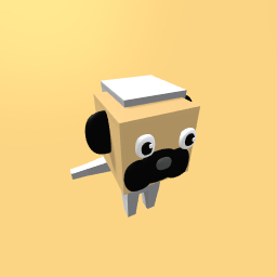 Pug