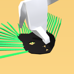 Cat-nip bas (Kireina)