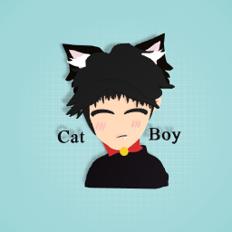 kitty boy