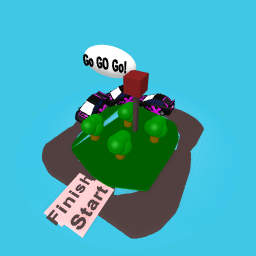 Race Track