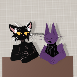 Talking cattos :3