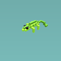 lizard