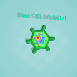 Plant cell 3D model