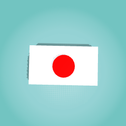 THE BIGGEST JAPAN FLAG EVER!!!!!