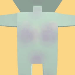 new costume copy