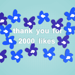 thank you for 2000 likes