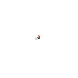 santa CLAWS!