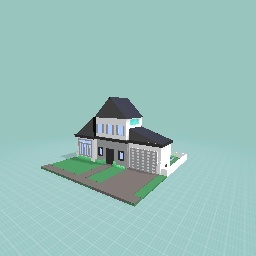 Modern House