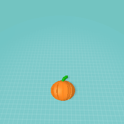 Pumpkin (Pls read description)