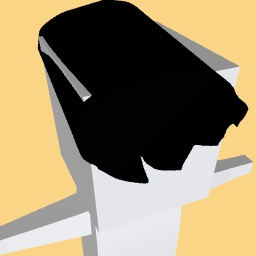 Hair