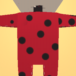 lady bug clothes