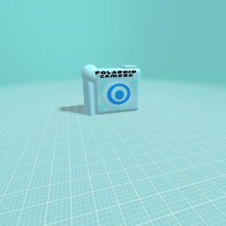 Polaroid camera