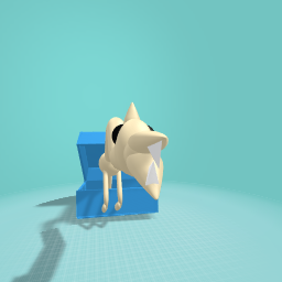 alpaca your sout cas