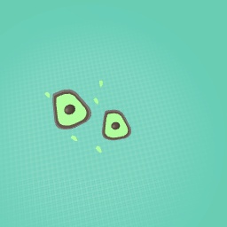 Avocados!