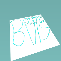 it's fun to study at BVIS