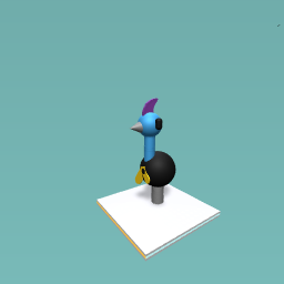cassowary 