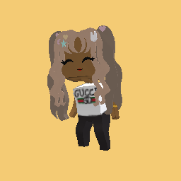 The poor and rich girl