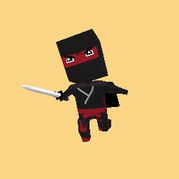 Ninja skin