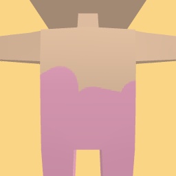 new costume