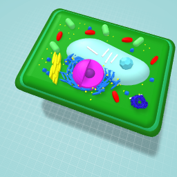 Plant Cell